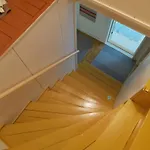Kurimon Luonnon Särkijärvi